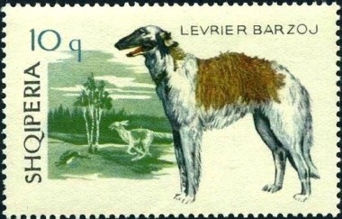 Russische Wolfshond
