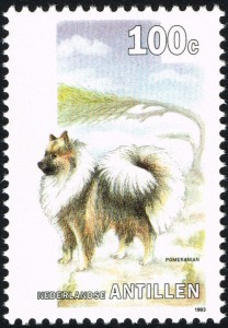Pomeriaan