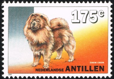 Chow-Chow