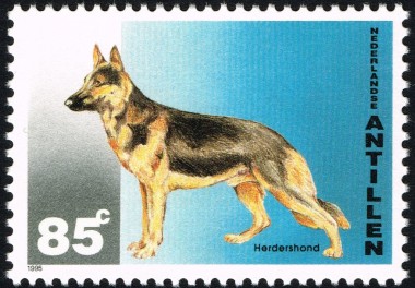 Duitse Herder