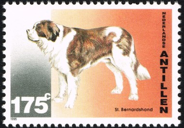 Sint Bernhard