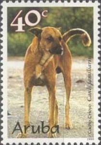 Creoolse Domestic Dog