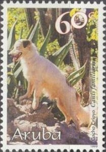 Creoolse Domestic Dog