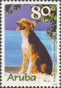 Creoolse Domestic Dog