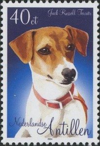 Jack Russel
