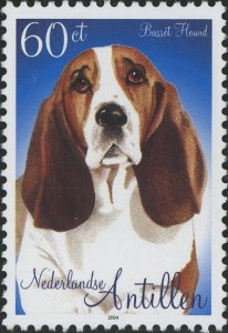 Basset Hound