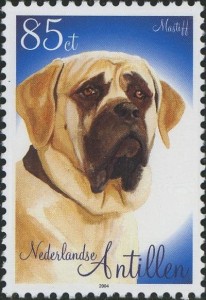 Mastiff