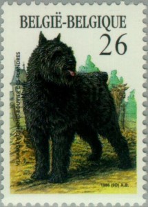 Bouvier