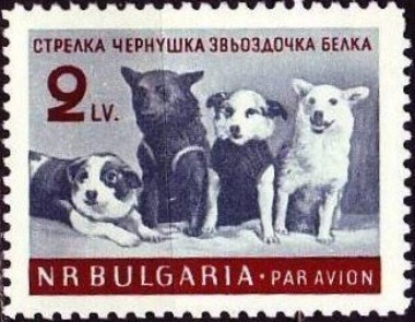 Ruimte Honden