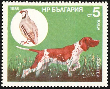 Pointer
