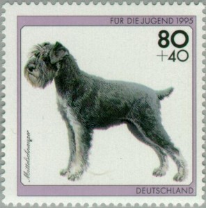 Schnautzer