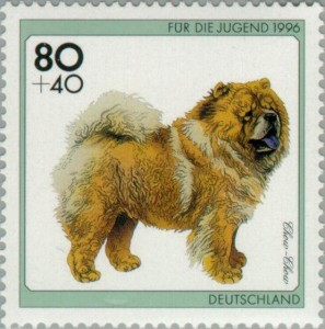 Chow-Chow