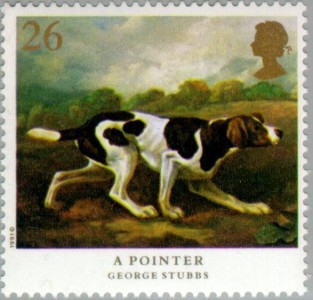 Engelse Pointer