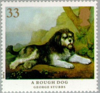Rough Dog