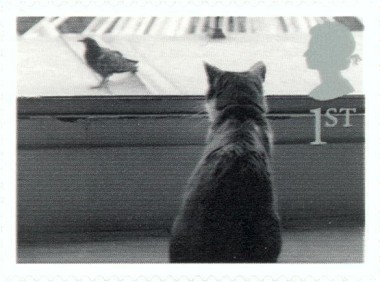 Kat wacht op vogel