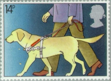 Blindegeleide Hond