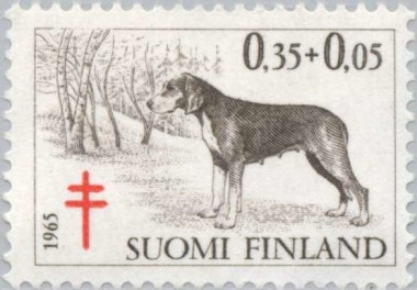 Finse Flushing Dog