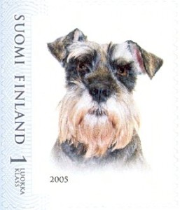 Terrier
