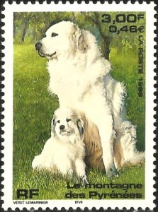Pyreneesche Berghond