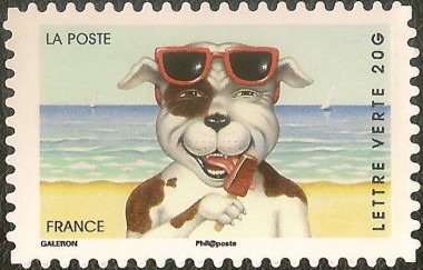 Hond met zonnebril