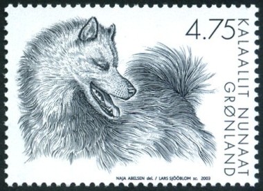 Greenland Dog