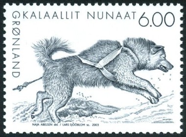 Greenland Dog