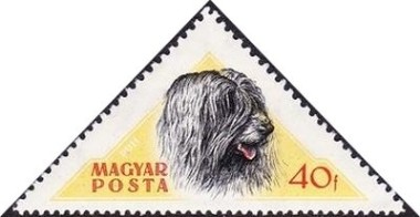 Puli Sheepdog