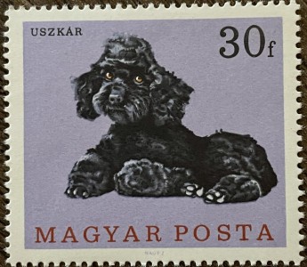 Poedel