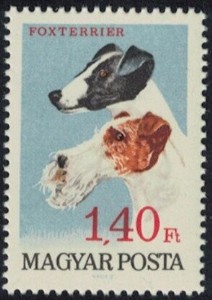 Fox Terriers