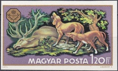 Felled Stag en Jachthonden