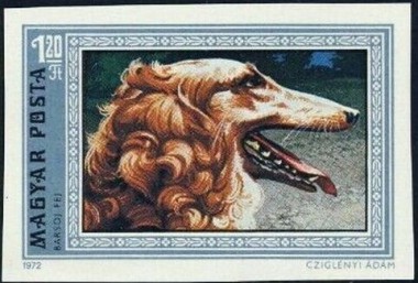 Borzoi
