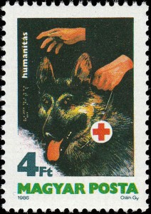 Seeing-eye Dog, Rode Kruis
