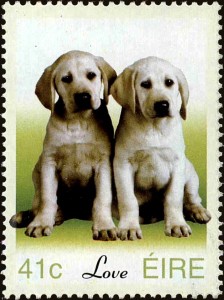 Love - puppies