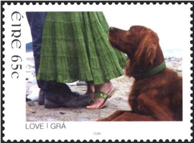 Hond aan de voeten van een liefdeskoppel