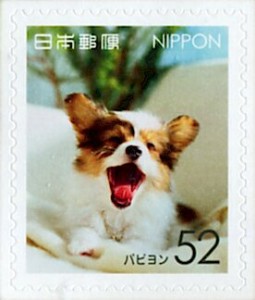 JP7559