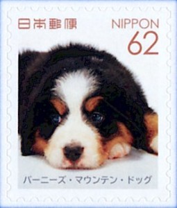JP8795