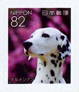 JP8813