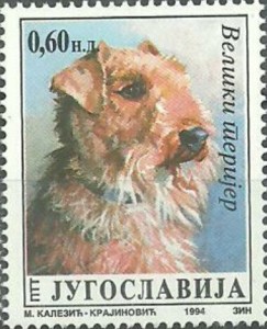 Welsh Terrier