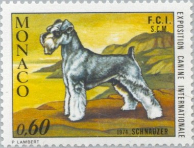 Schnauzer