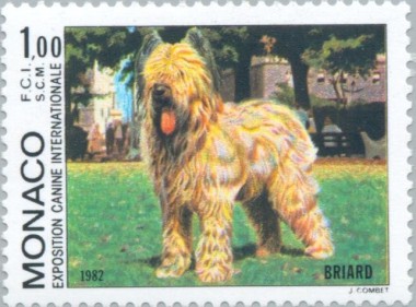 Briard