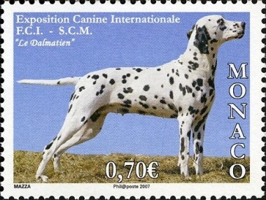 Dalmatier