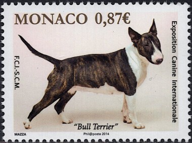 Bull Terrier