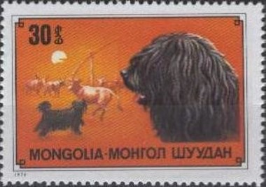 MN1173