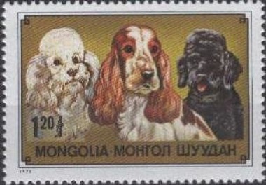 MN1179