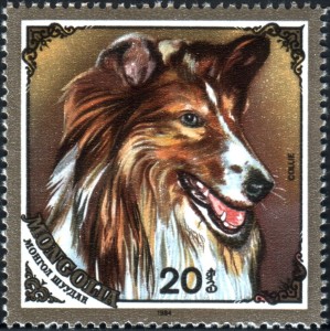 MN1675