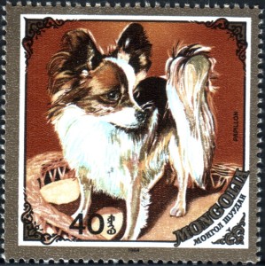MN1677