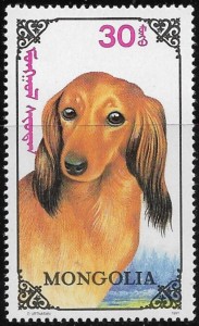 MN2321