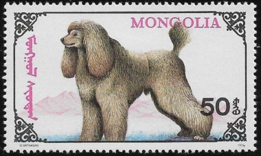 MN2323