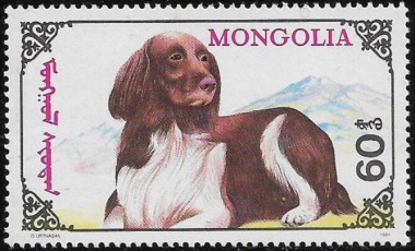 MN2324