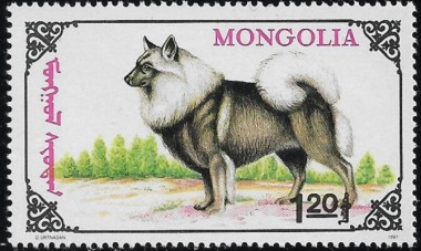MN2326